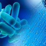 Legionella - the risks and the solutions
