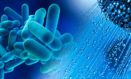 Legionella – the risks and the solutions