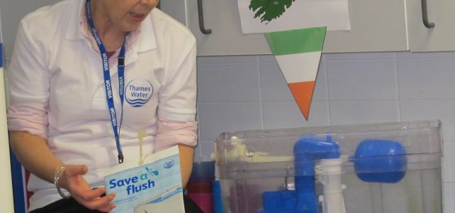How much does it cost to flush your toilet? (KS2)