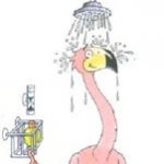 Saving Water - Frankie the flamingo