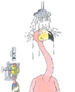 Saving Water – Frankie the flamingo