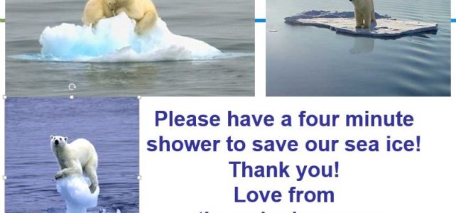 Is your shower killing the polar bears?