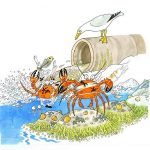 Why raingardens are so great - by Clarence the crab