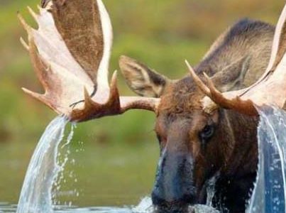 Water supply and sanitation in Sweden – Tim Sibthorp, Sweden
