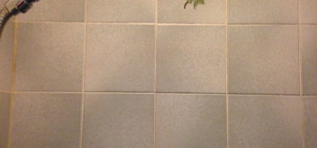 January 2012 – Call this a shower?