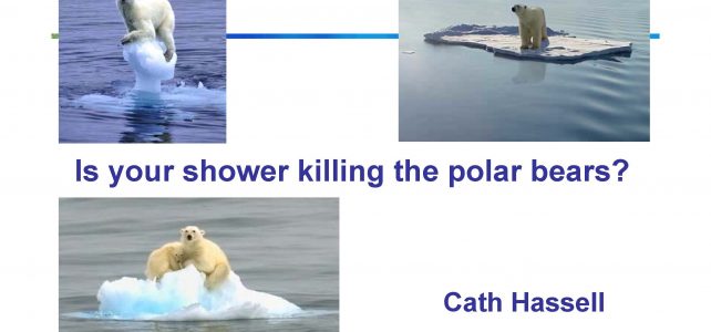 Is your shower killing the polar bears? (KS3,4)